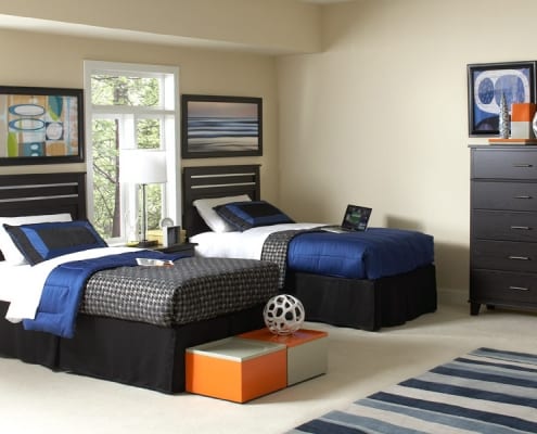 Dakota Sky Line Twin Bedroom with Rug